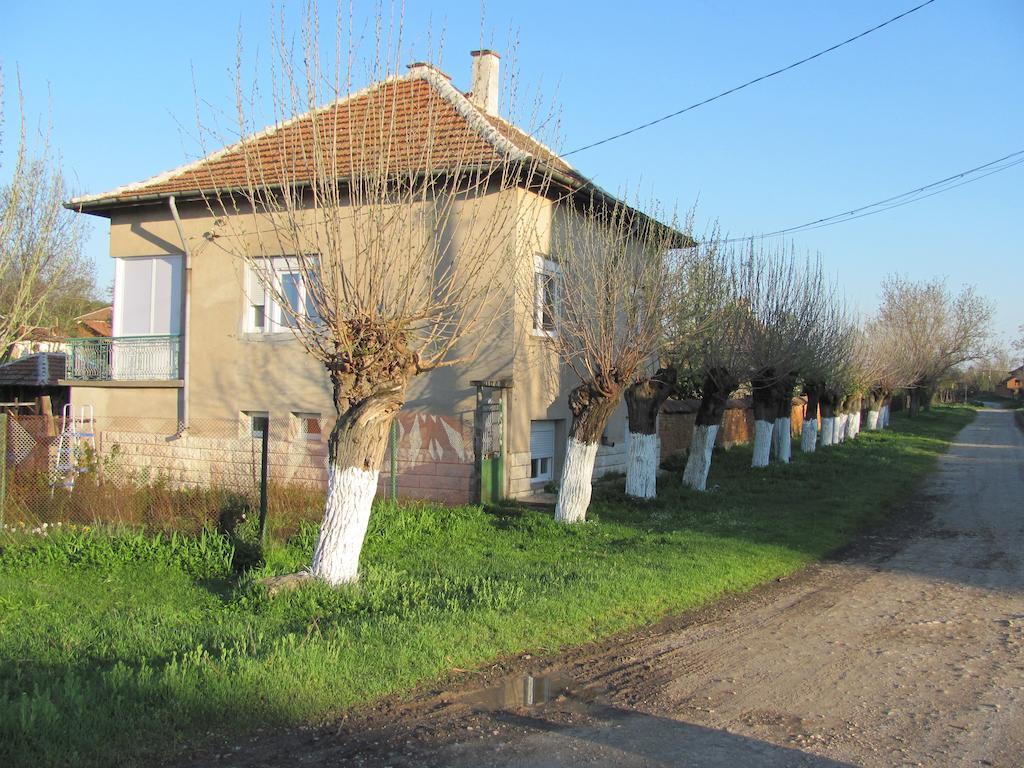 Rogozen B&B Exterior photo